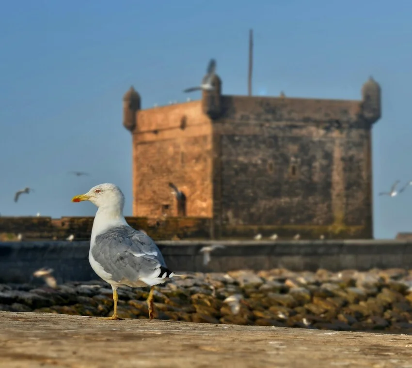 skala d'essaouira